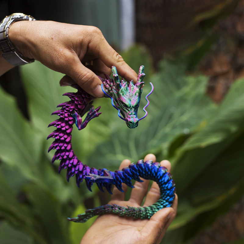 3D Printing Dragon Model Craft - 3D Printing Household Items review and price